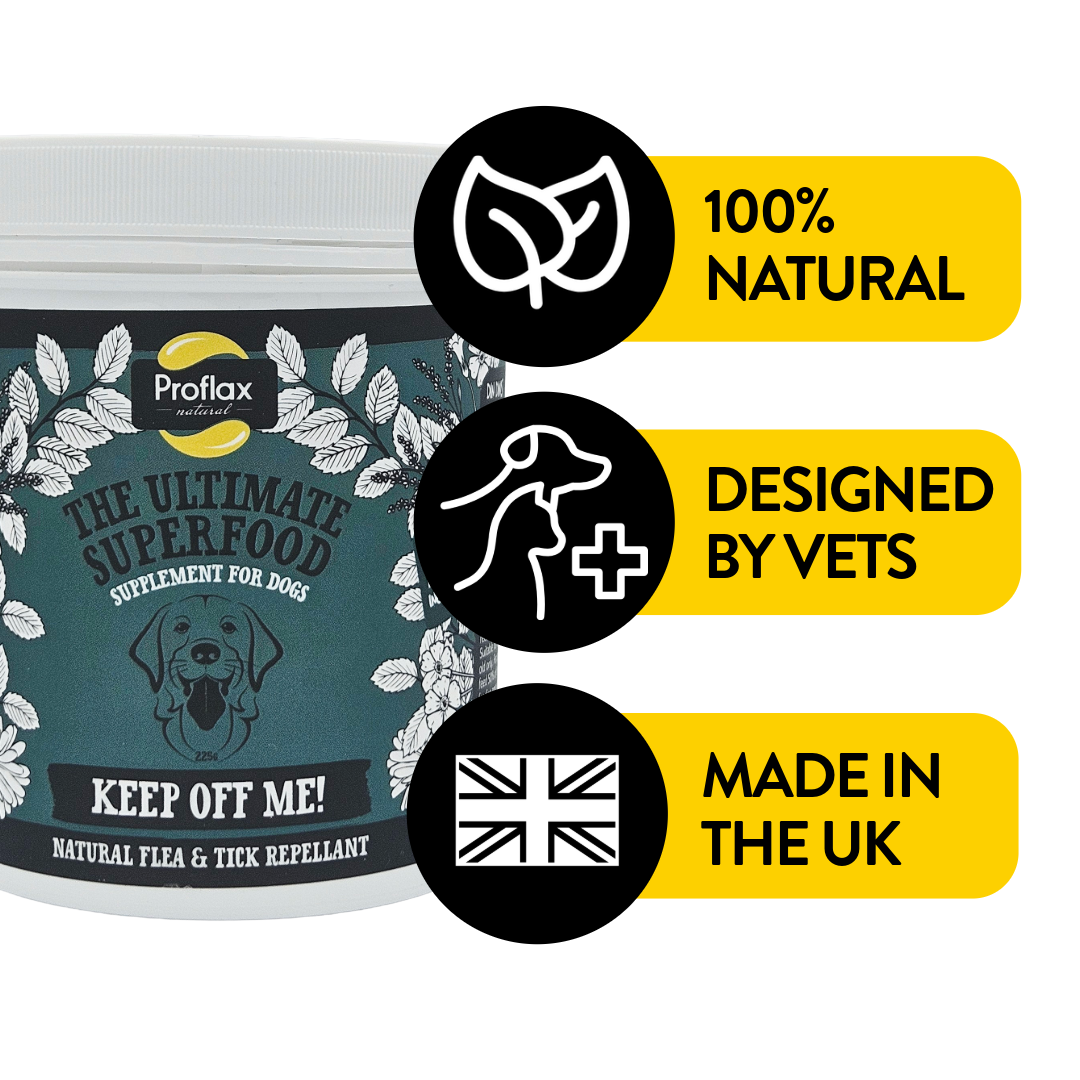 Natural Flea & Tick Support for Dogs - Keep Off Me! Powder - Proflax