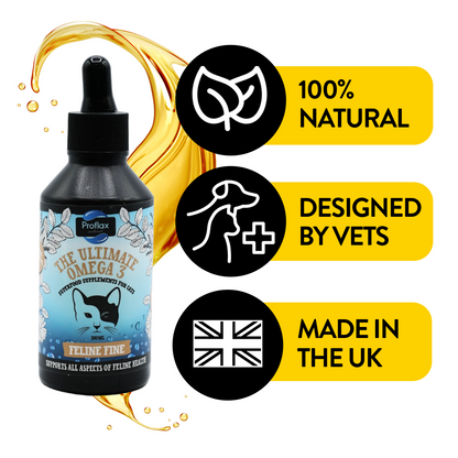 Salmon Oil Supplement for Cats - Feline Fine