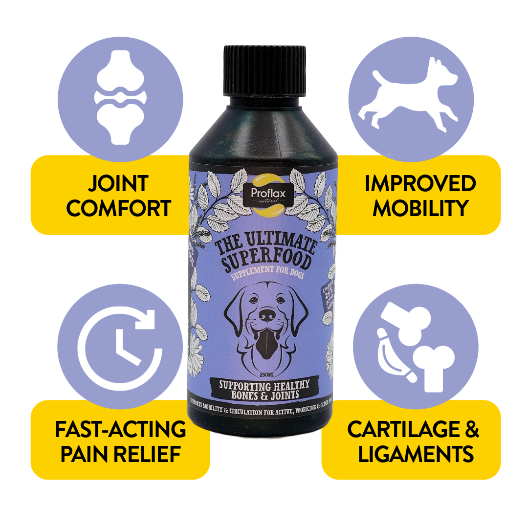 Bone, Joint & Mobility Support for Dogs