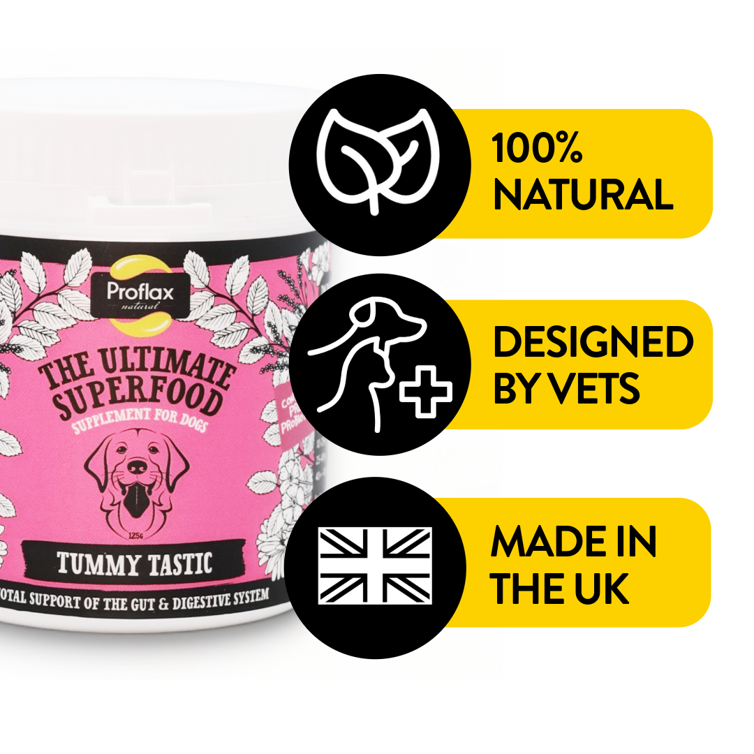 Pre & Probiotics for Dogs - Tummy Tastic - Proflax
