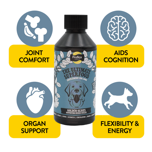 Senior Complete Blend for Dogs - Golden Oldies