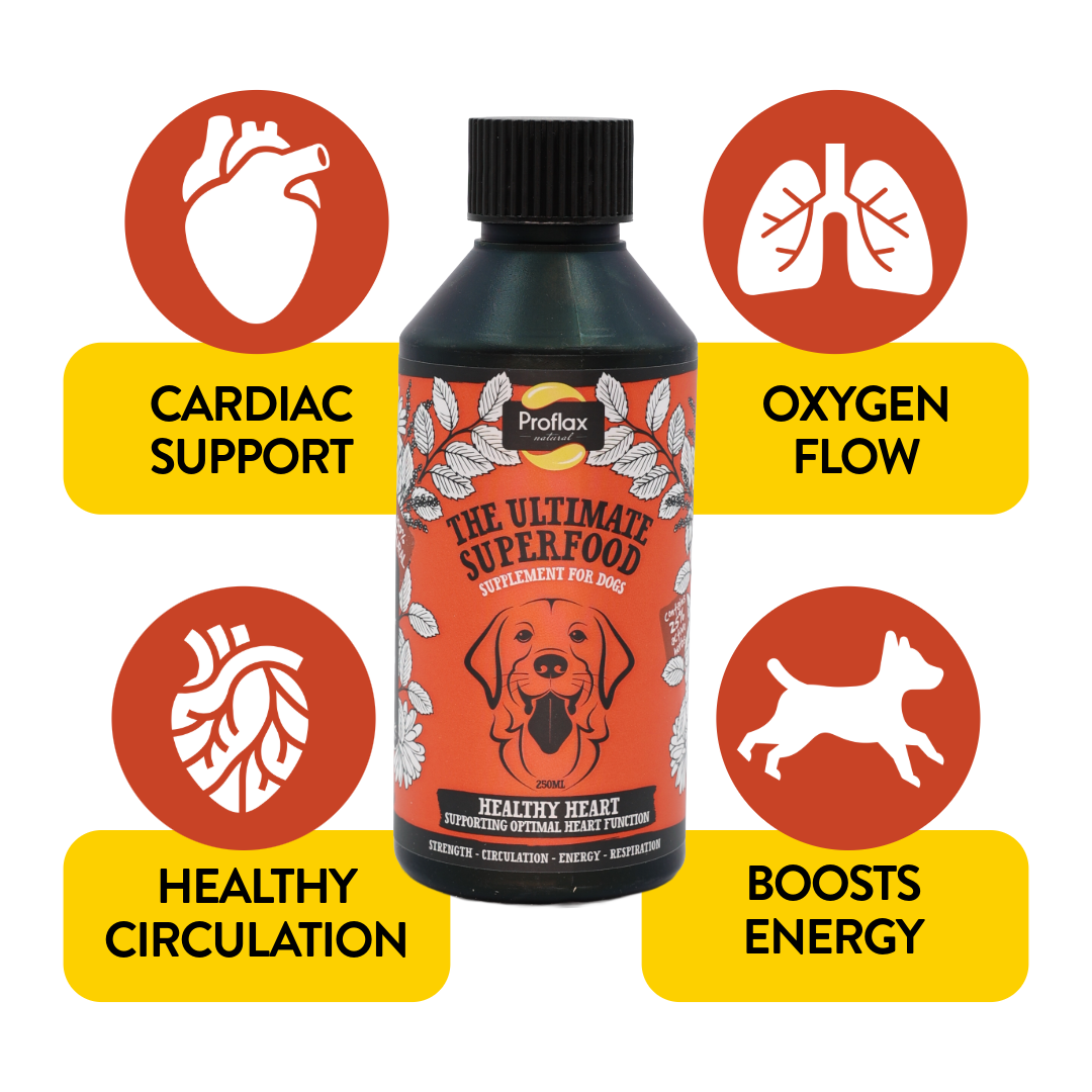 Heart & Circulation Support for Dogs - Healthy Heart - Proflax