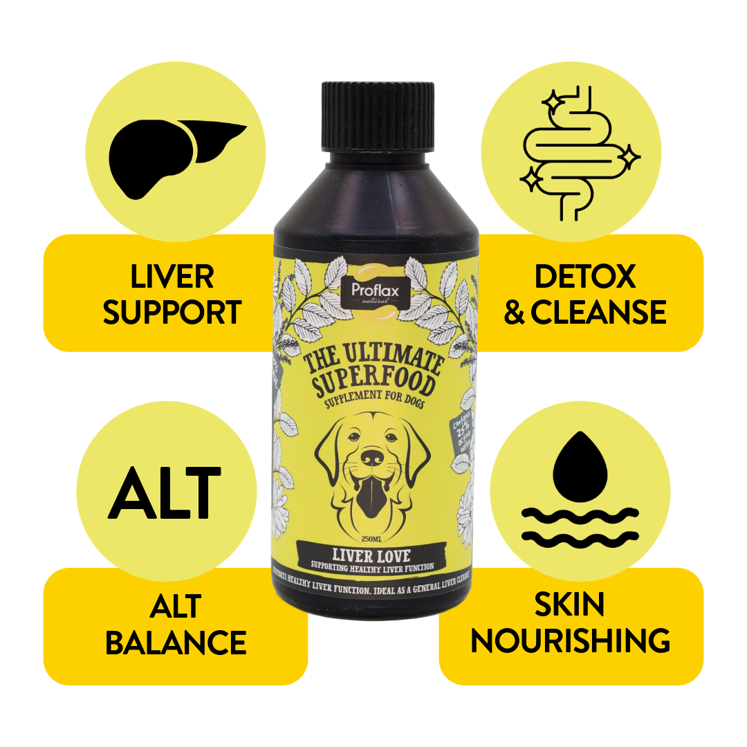 Liver & Cleansing Support for Dogs - Liver Love - Proflax
