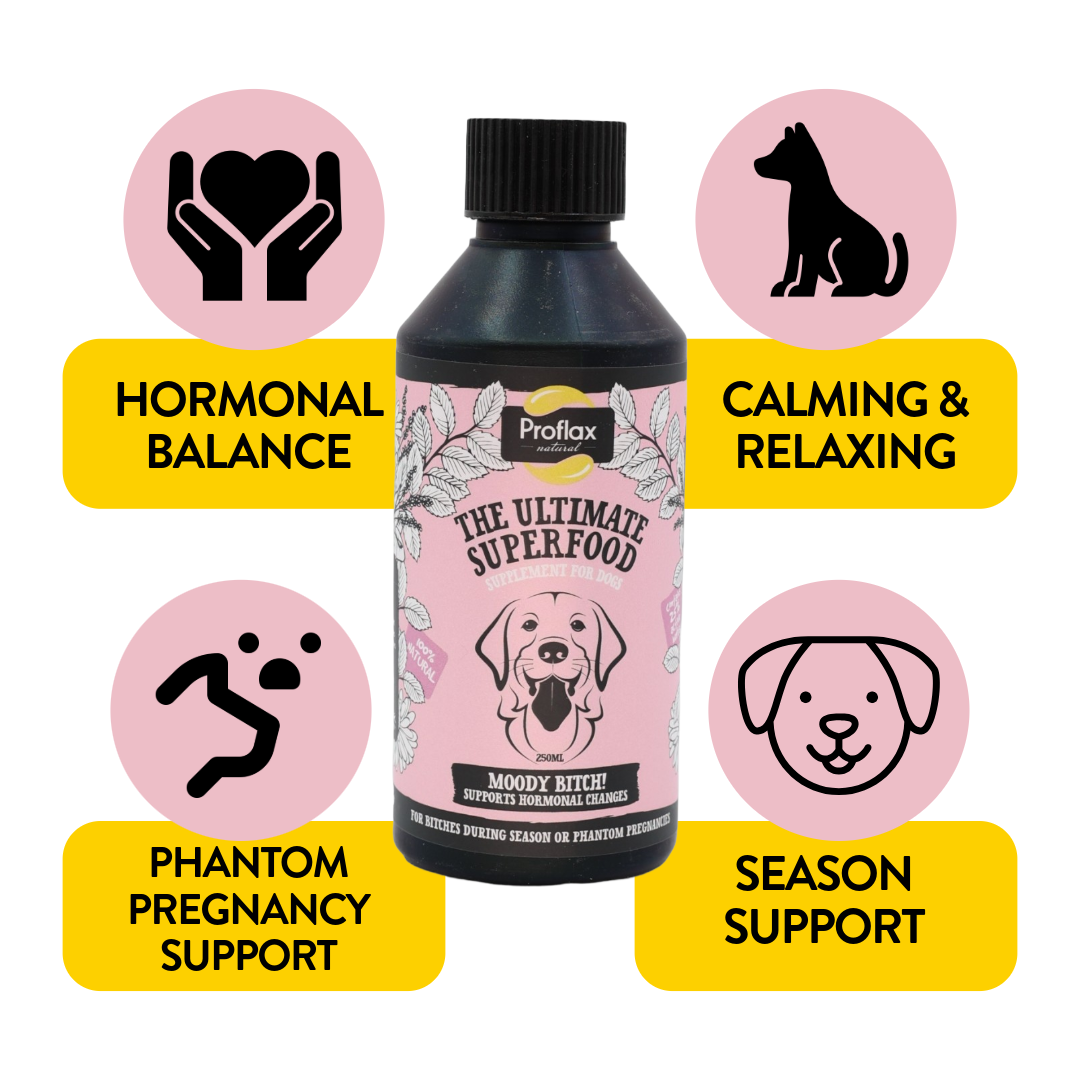 Hormonal Relief for Female Dogs - Moody Bitch - Proflax