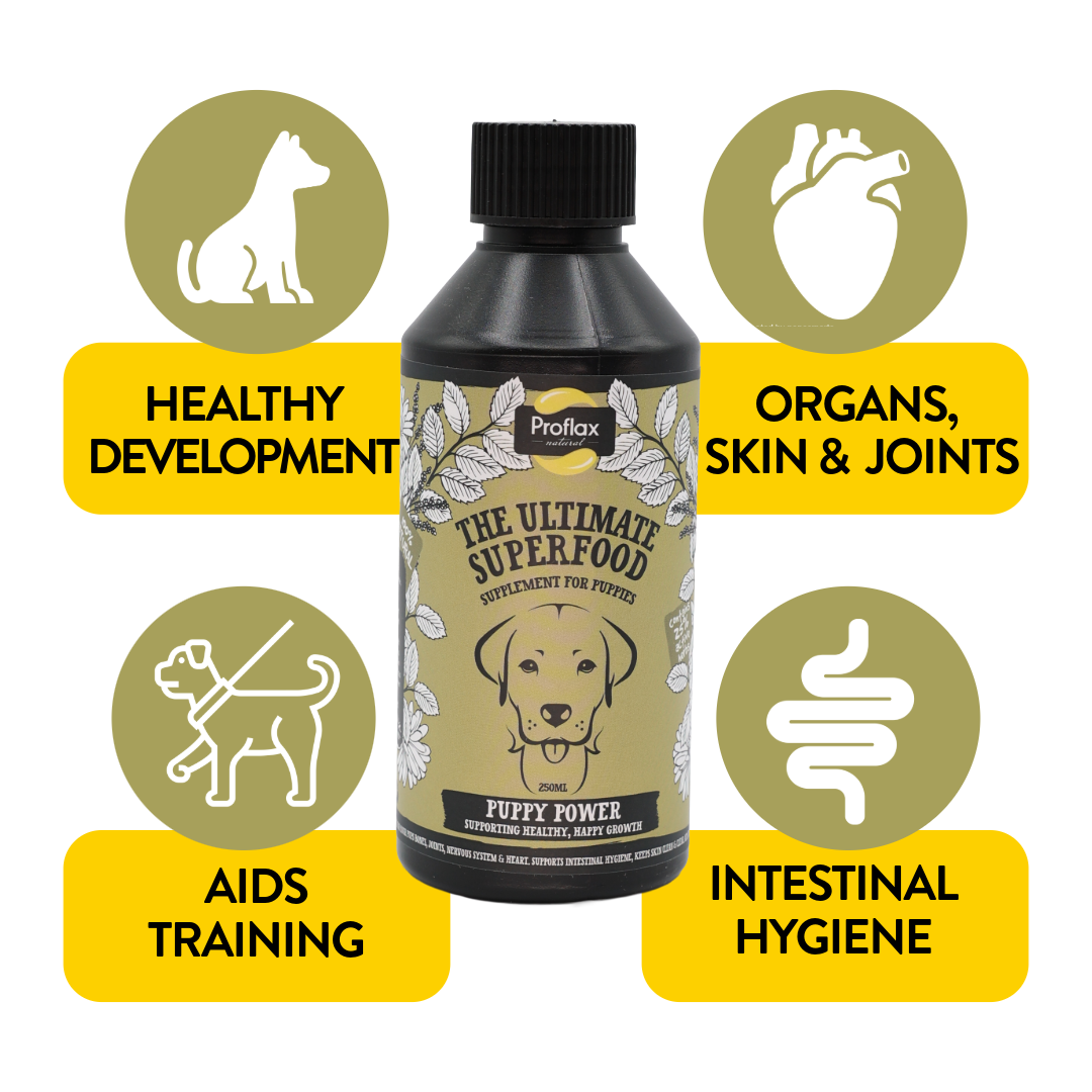 Puppy Digestion & Growth Support - Puppy Power