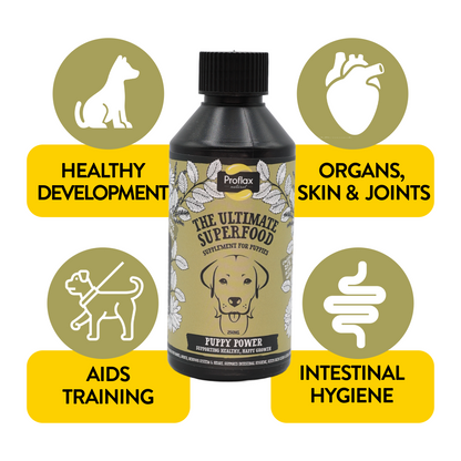 Puppy Digestion & Growth Support - Puppy Power
