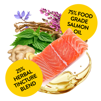 Calming Salmon Oil for Highly Anxious Dogs - Omega Calm