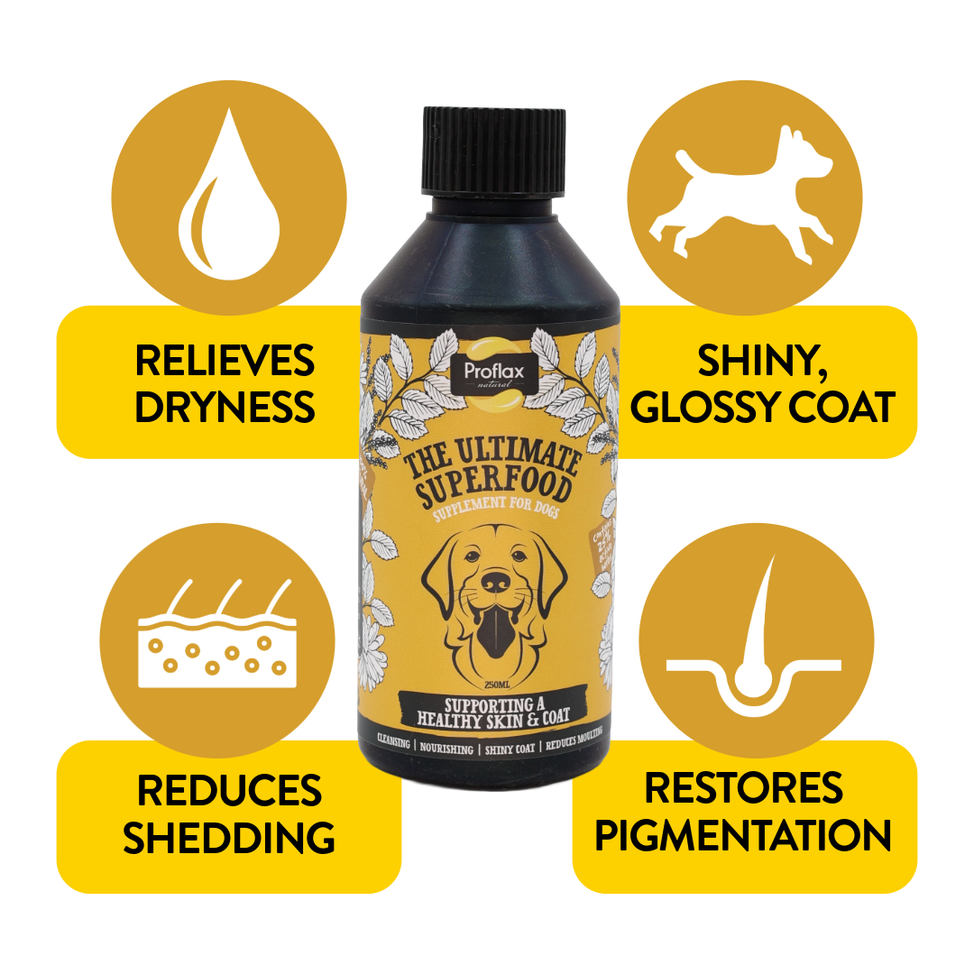 Skin & Coat Support for Dogs