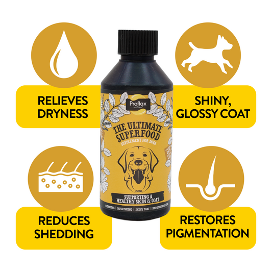 Skin & Coat Support for Dogs