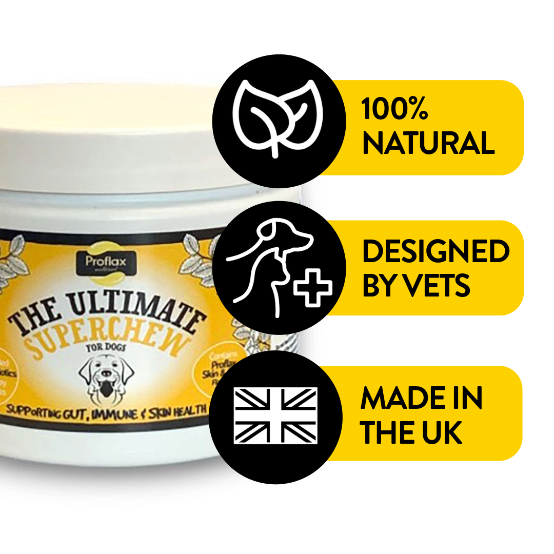 Soft Chews for Functional Support - Skin, Gut & Immune - Proflax