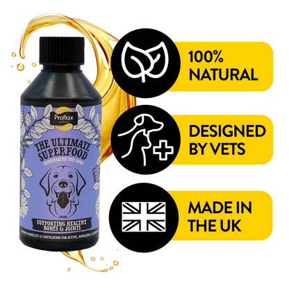 Bone, Joint & Mobility Support for Dogs