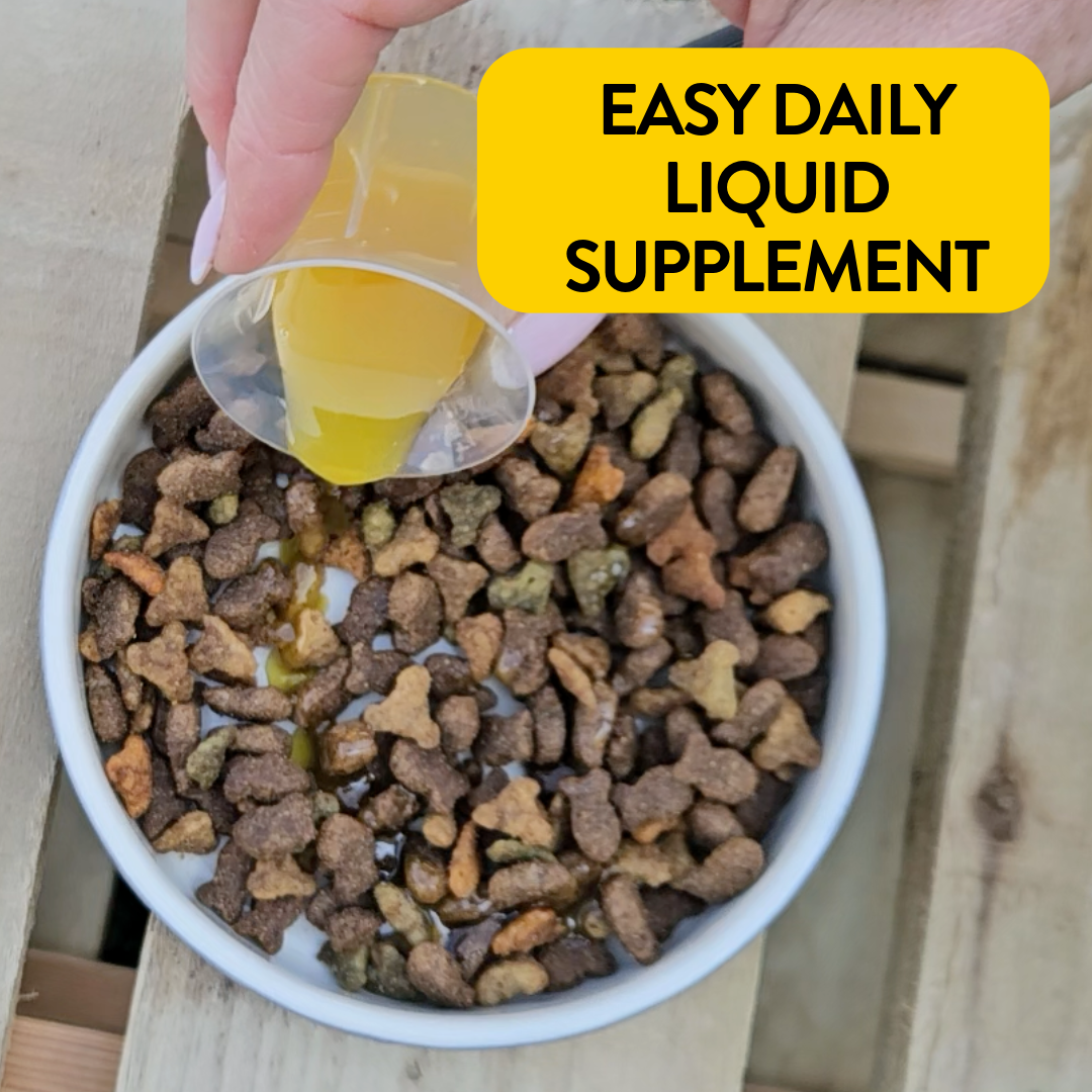 Liver & Cleansing Support for Dogs - Liver Love