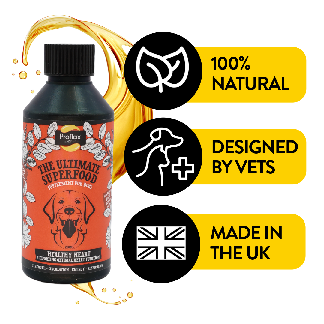 Heart & Circulation Support for Dogs - Healthy Heart - Proflax