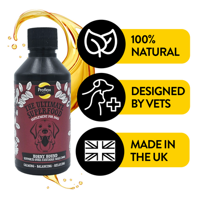 Hormone Balance for Male Dogs - Horny Hound - Proflax