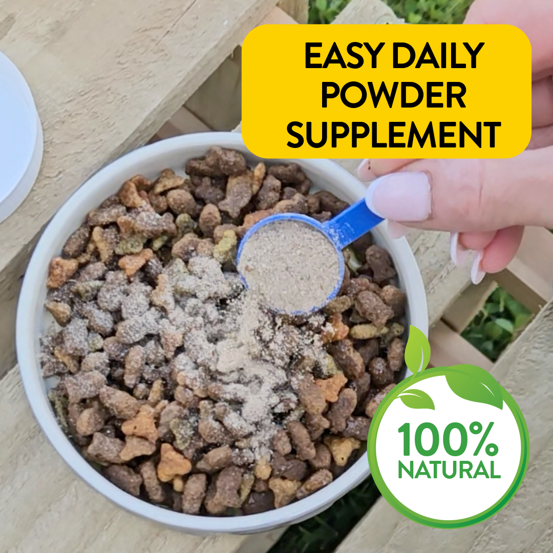 Sled Head – Complete Zinc Nutrition Blend - Proflax