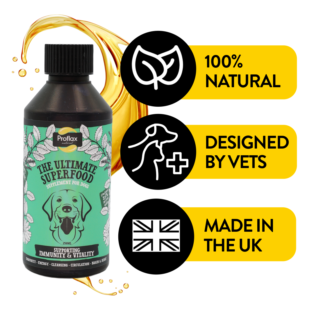 Immune & Energy Support for Dogs - Proflax