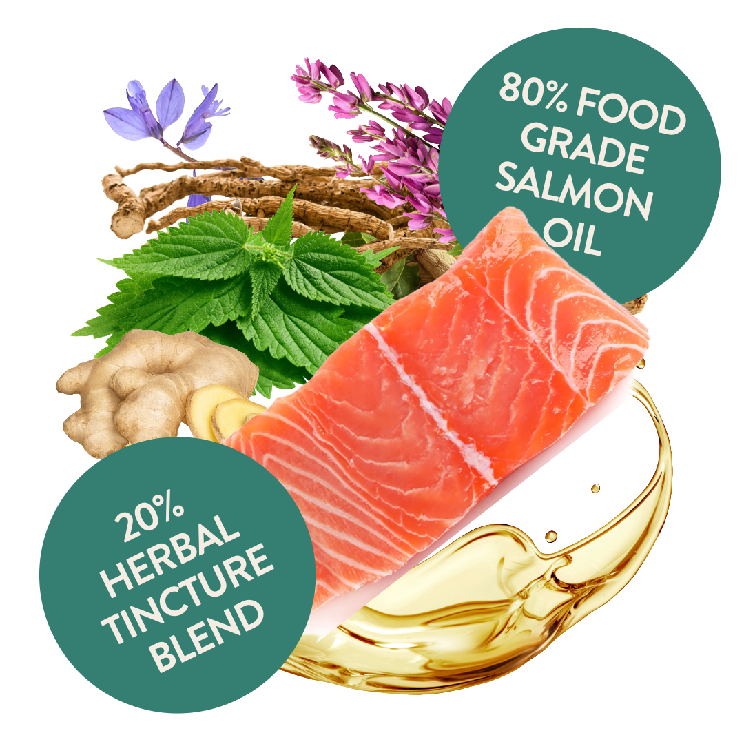 Salmon Oil Supplement for Cats - Feline Fine