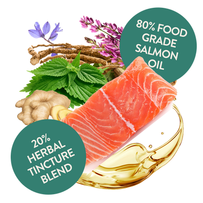 Salmon Oil Supplement for Cats - Feline Fine