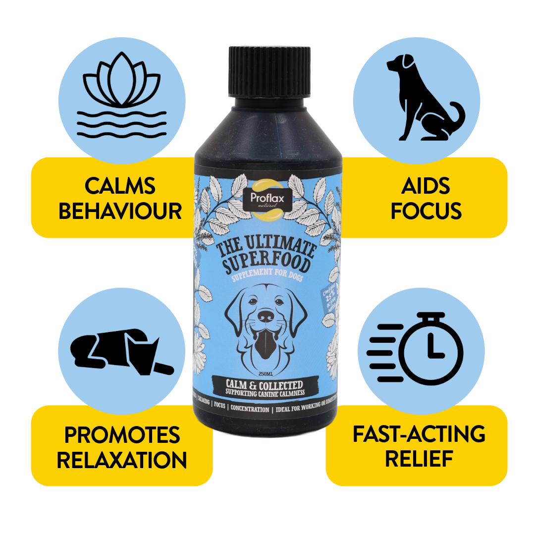 Calming Support for Mild Anxiety - Calm & Collected