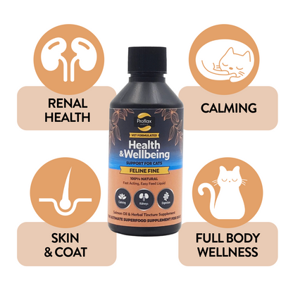 Salmon Oil Supplement for Cats - Feline Fine