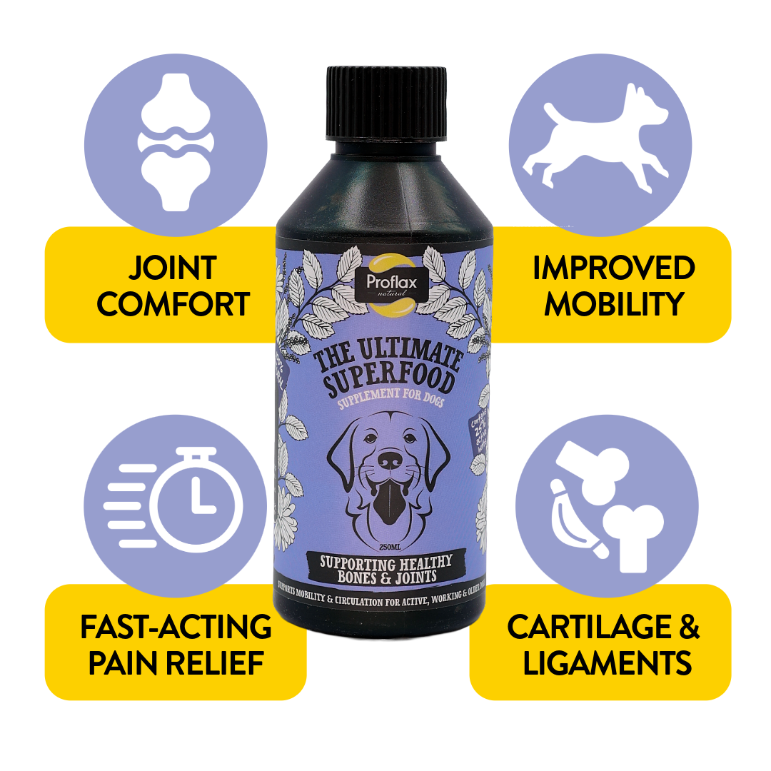 Bone, Joint & Mobility Support for Dogs