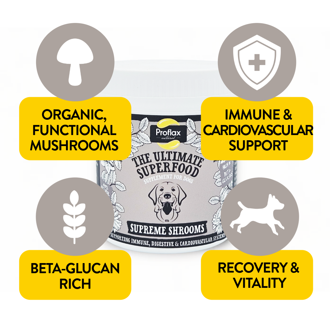 Immune Support for Dogs - Supreme Shrooms - Proflax
