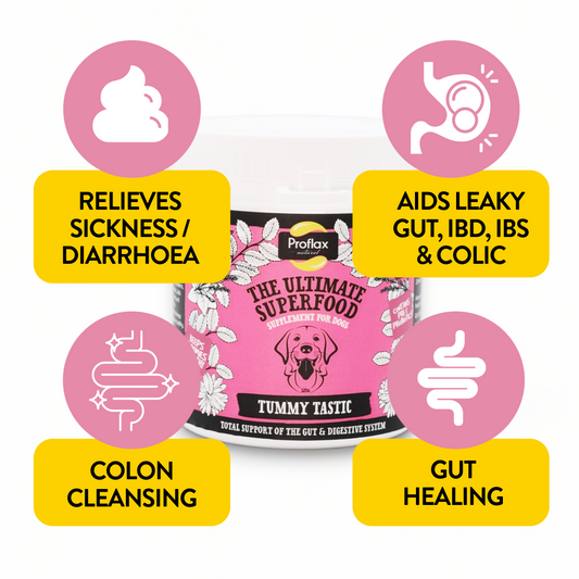 Pre & Probiotics for Dogs - Tummy Tastic