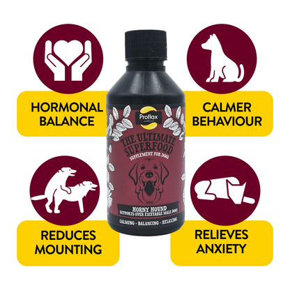 Hormone Balance for Male Dogs - Horny Hound - Proflax