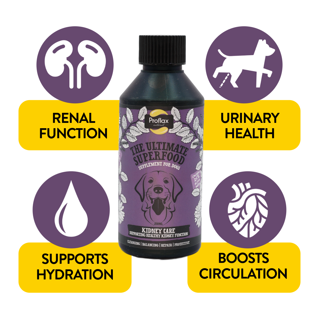 Kidney & Urinary Support for Dogs - Kidney Care - Proflax