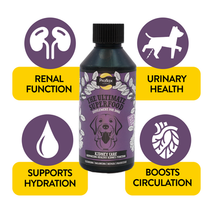 Kidney & Urinary Support for Dogs - Kidney Care - Proflax