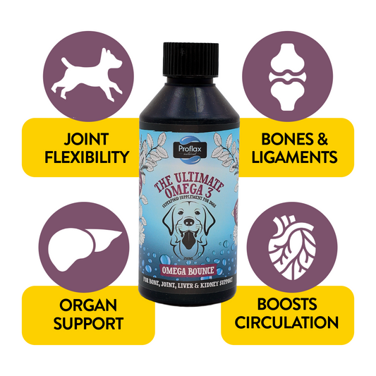 Salmon Oil for Joint & Mobility Support - Omega Bounce - Proflax