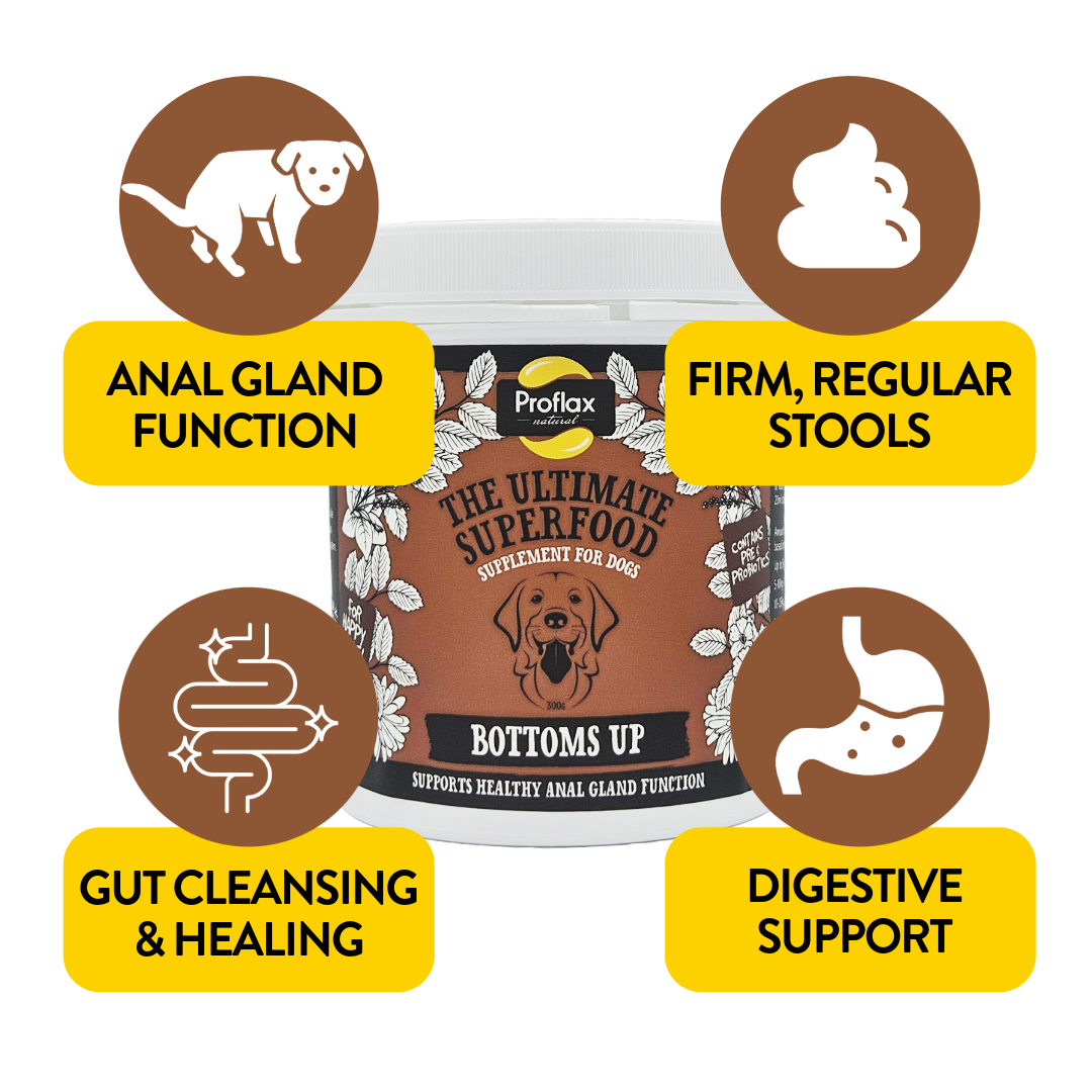 Anal Gland Support for Dogs - Bottoms Up - Proflax