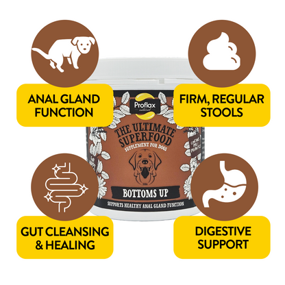 Anal Gland Support for Dogs - Bottoms Up - Proflax