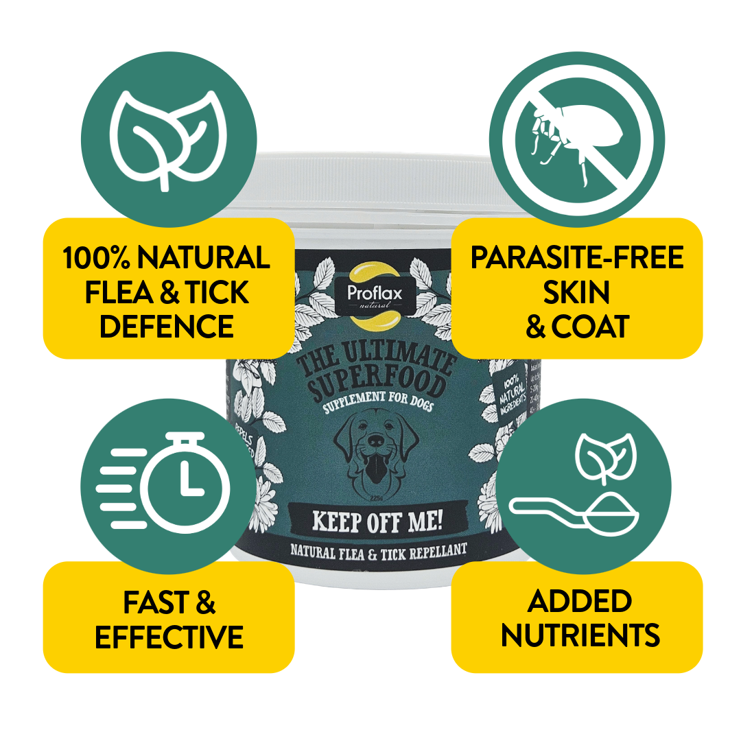 Natural Flea & Tick Support for Dogs - Keep Off Me! Powder - Proflax