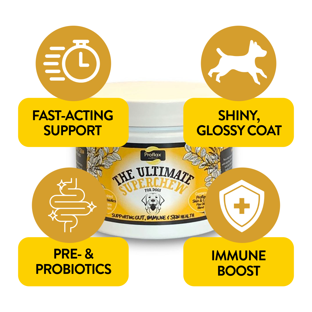 Soft Chews for Functional Support - Skin, Gut & Immune - Proflax