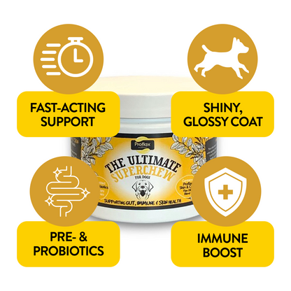 Soft Chews for Functional Support - Skin, Gut & Immune - Proflax