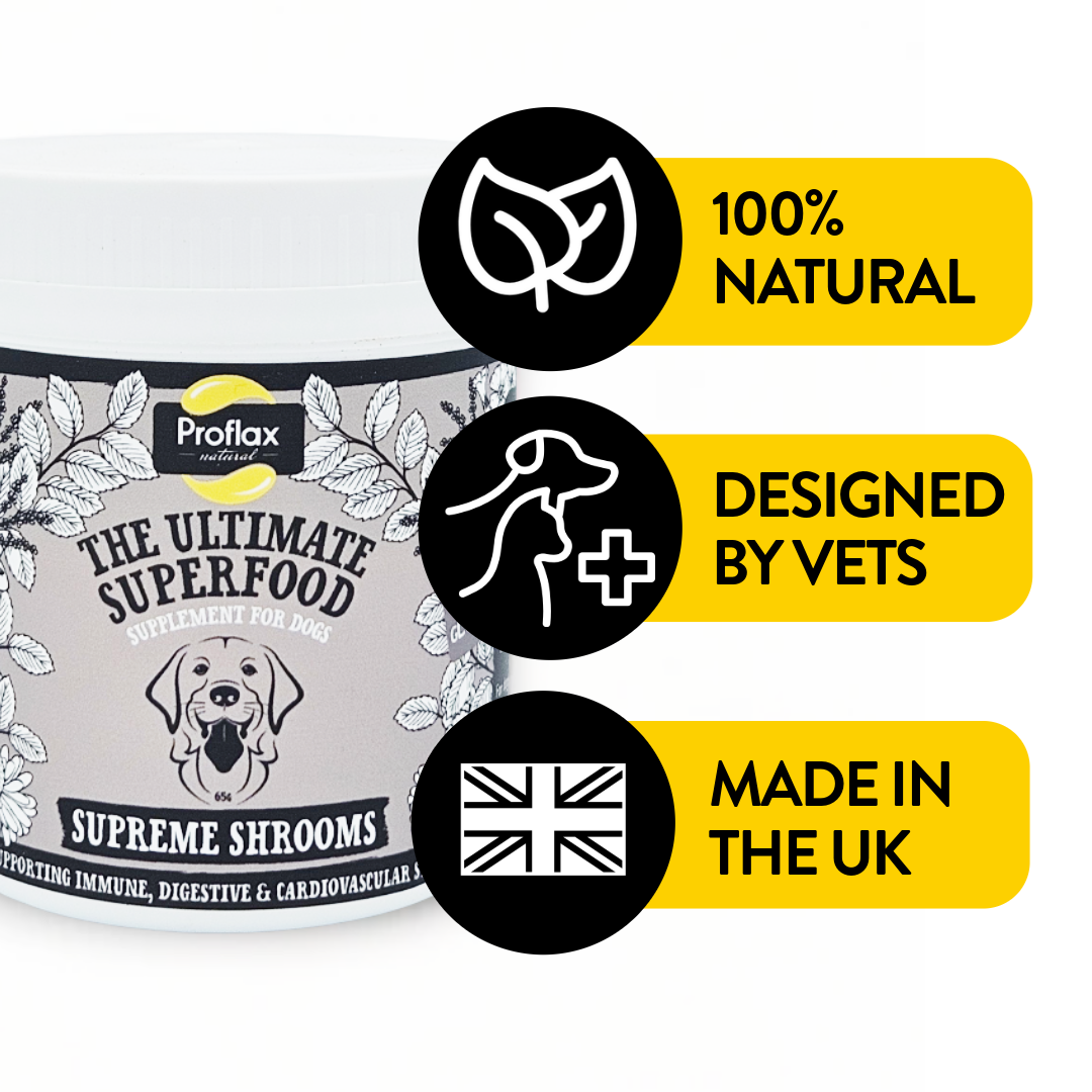 Immune Support for Dogs - Supreme Shrooms - Proflax