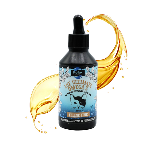 Salmon Oil Supplement for Cats - Feline Fine