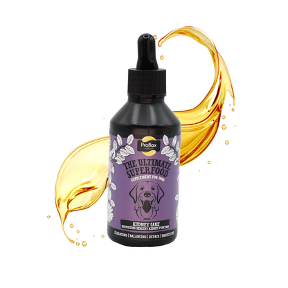 Kidney & Urinary Support for Dogs - Kidney Care - Proflax