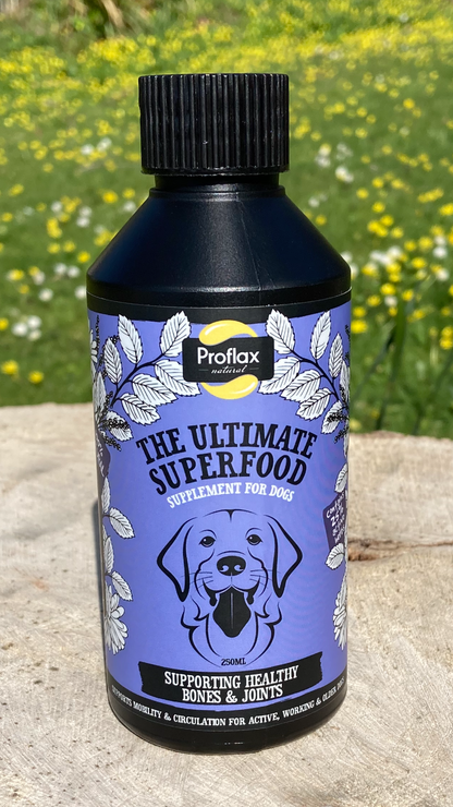 Dog vitamins for bones and deals joints