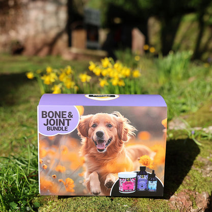 Targeted Wellness Bundle - Bone & Joint (Premium)