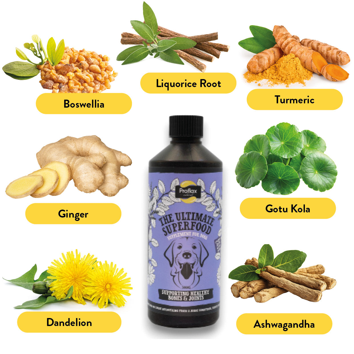 Bone, Joint & Mobility Support for Dogs