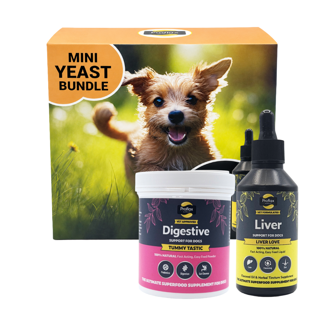Targeted Wellness Bundle - Mini Yeast