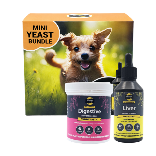 Targeted Wellness Bundle - Mini Yeast