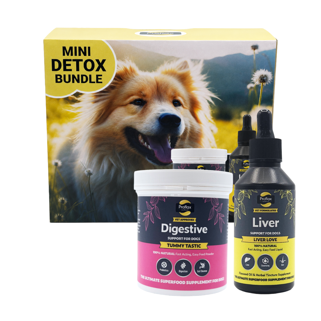 Targeted Wellness Bundle - Mini Detox