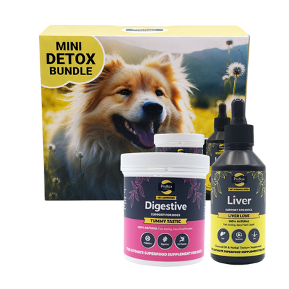 Targeted Wellness Bundle - Mini Detox