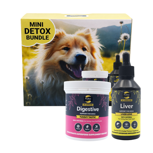 Targeted Wellness Bundle - Mini Detox
