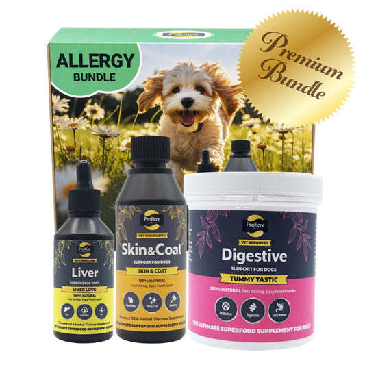 Targeted Wellness Bundle - Allergy (Premium)