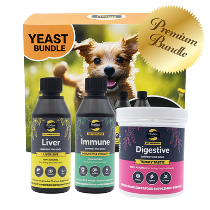 Targeted Wellness Bundle - Yeast (Premium)