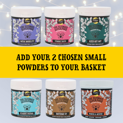 Proflax Christmas Gift Set – Pick & Pair (2 Powders & Treats)